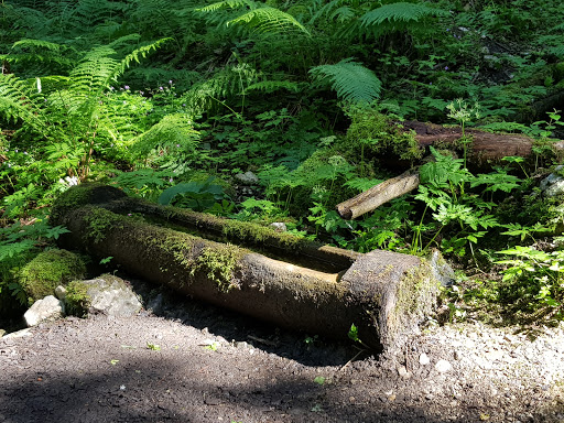 site_photo4