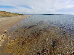 Punta delle Quaglie'in fotoğrafı vahşi alan