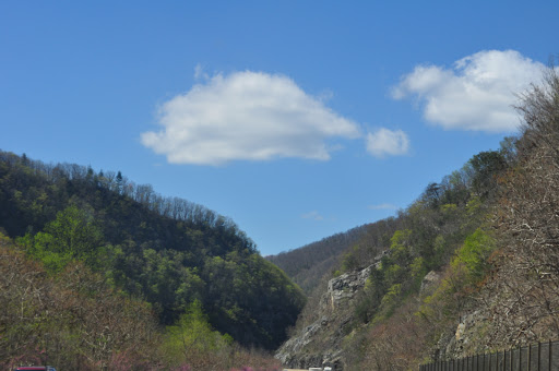 Performing Arts Theater «Charleston Music Hall», reviews and photos, 37 John St, Charleston, SC 29403, USA