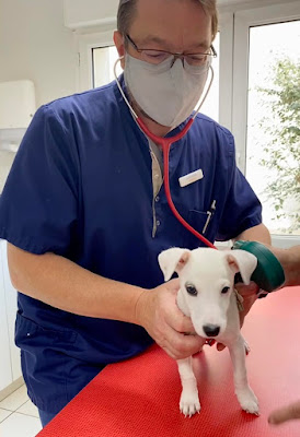 Clinique Vétérinaire des Trois Villes à Villers-lès-Nancy