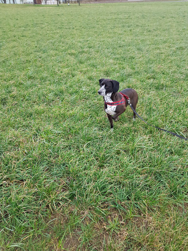 Helmut Lindemann Tierarzt unter Lübbenau, 