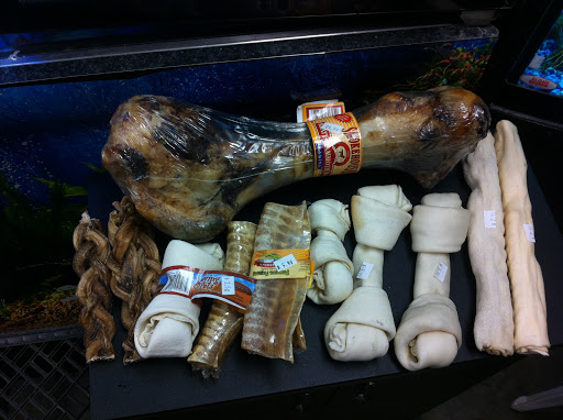 Pet Store «Colchester pet Shop LLC», reviews and photos, 111 Loomis Rd #2a, Colchester, CT 06415, USA