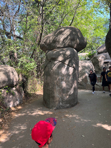 Transit Stop «Dallas Zoo Station», reviews and photos, 614 S. Ewing Avenue, Dallas, TX 75203, USA