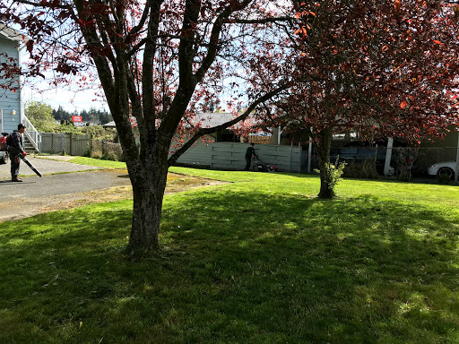 Park «Mineral Springs Park», reviews and photos, 1500 N 105th St, Seattle, WA 98133, USA