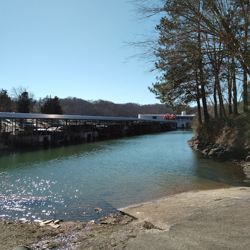 Marina «Mitchell Creek Marina», reviews and photos, 1260 Livingston Boat Dock Rd, Allons, TN 38541, USA