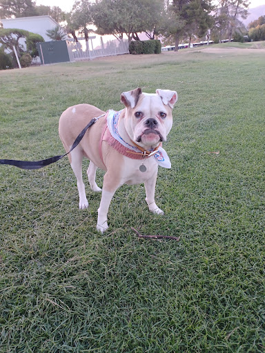 Pet Supply Store «Petco Animal Supplies», reviews and photos, 1415 E Warner Rd, Gilbert, AZ 85296, USA