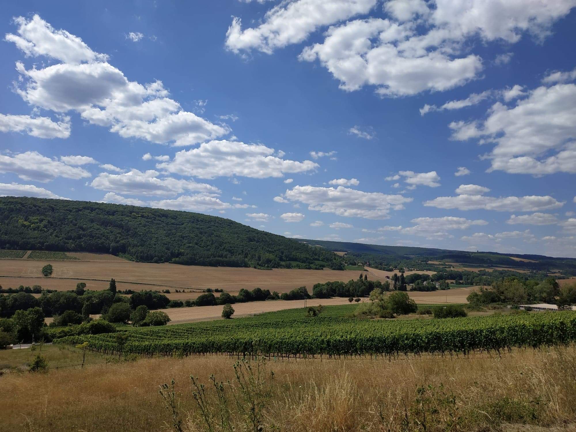 Photo n° 1 de l'avis de yann.a fait le 20/08/2020 à 07:11
