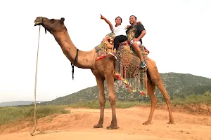 Camel safari in Pushkar image