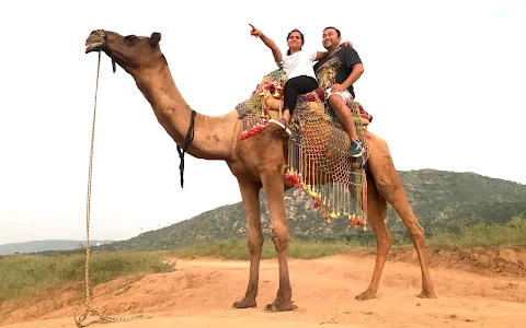 Camel safari in Pushkar image