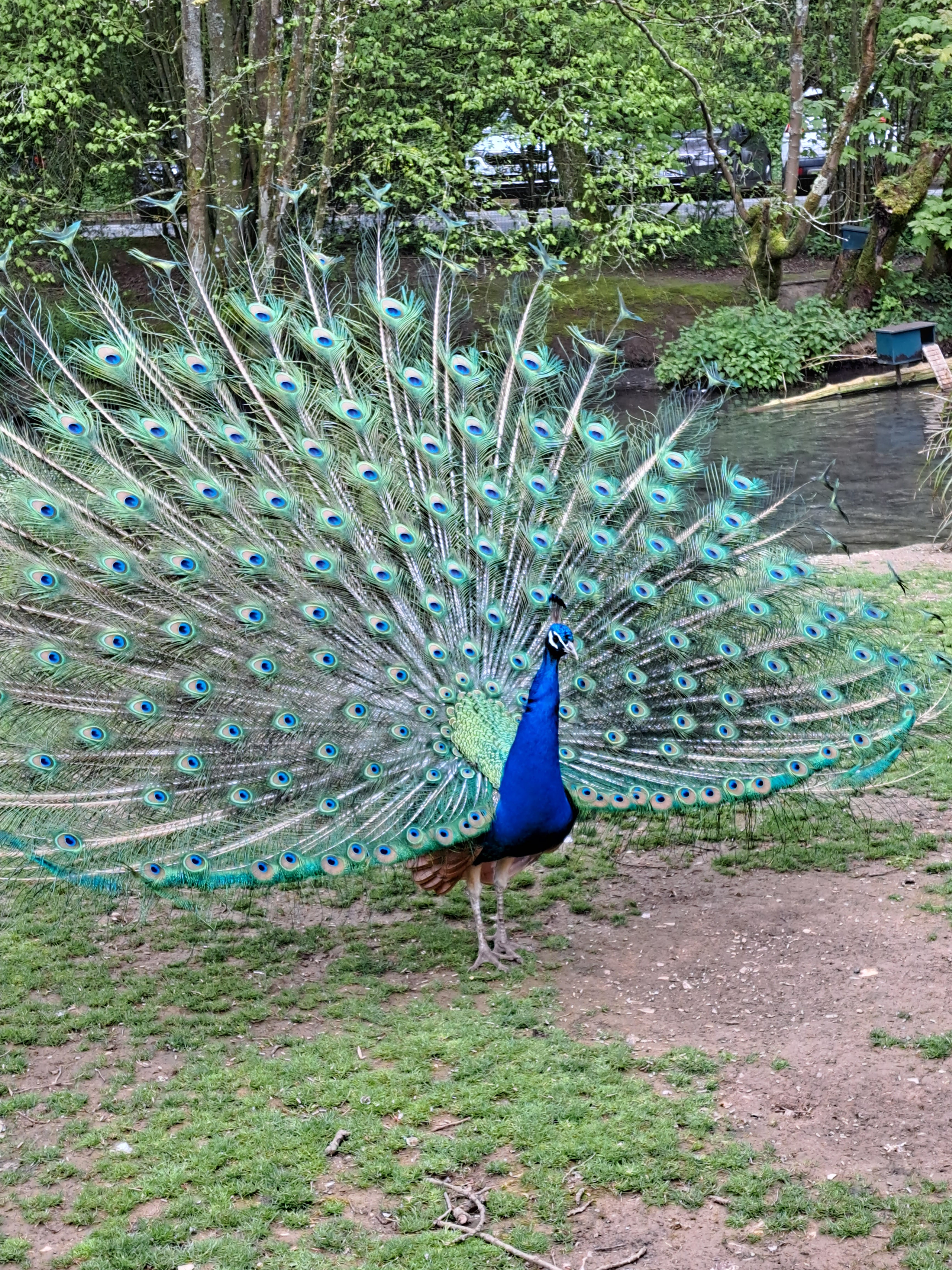 Photo n° 1 de l'avis de REGIS.L fait le 03/05/2023 à 08:57