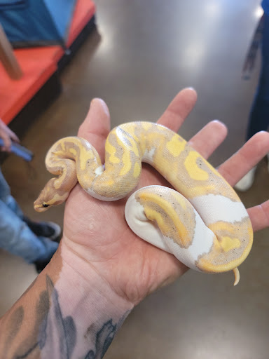 Pet Supply Store «PetSmart», reviews and photos, 1561 N Dysart Rd, Avondale, AZ 85323, USA