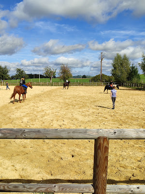 Les poneys du Thaurion à Bosmoreau-les-Mines