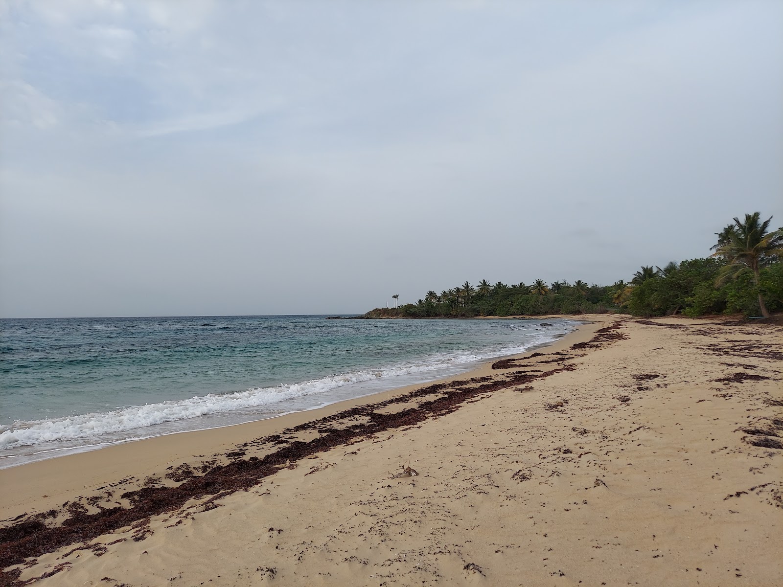 Φωτογραφία του Playa Blaydin II με τυρκουάζ νερό επιφάνεια
