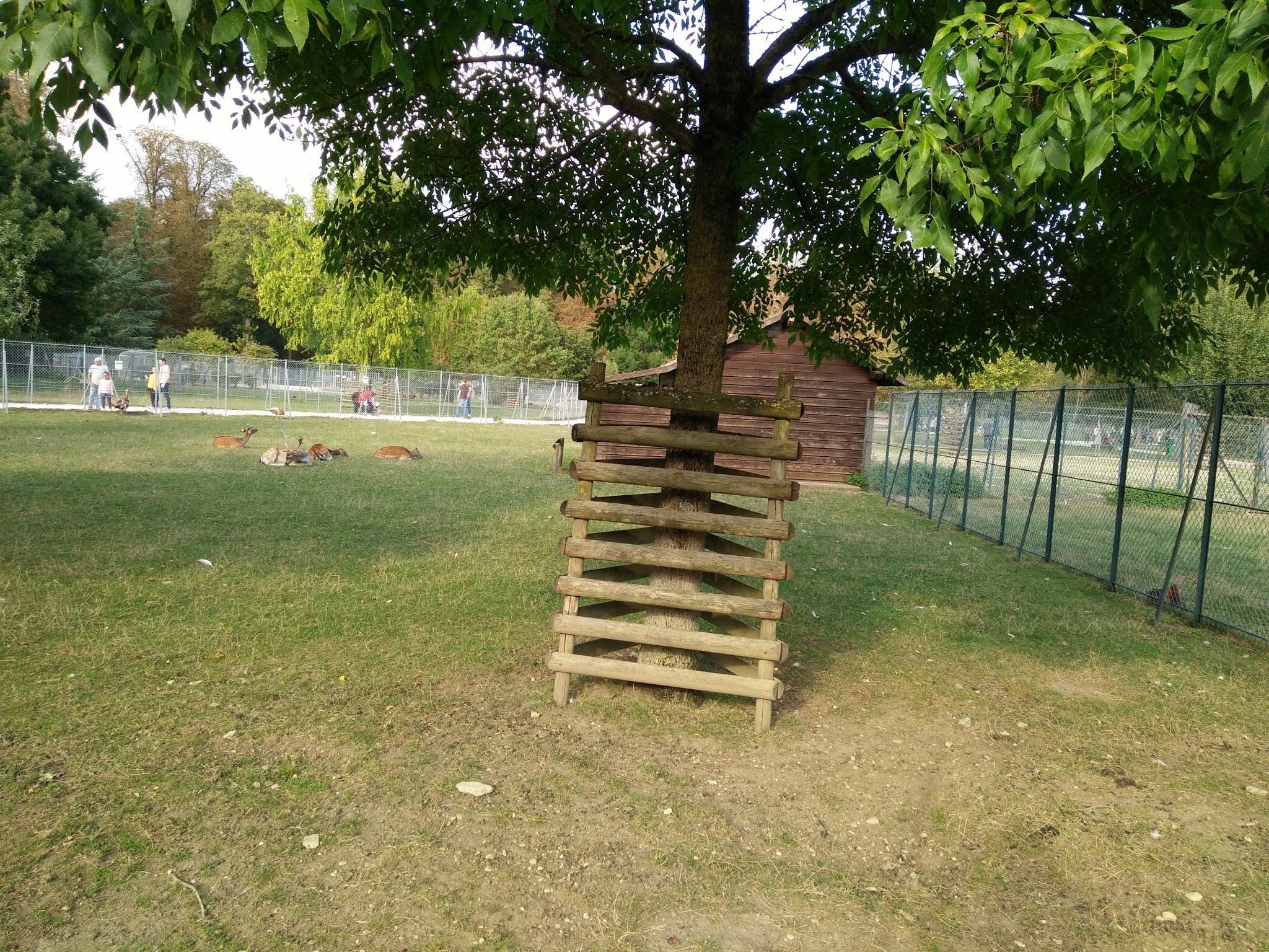 Photo n° 2 de l'avis de Aissa. fait le 11/01/2017 à 02:15