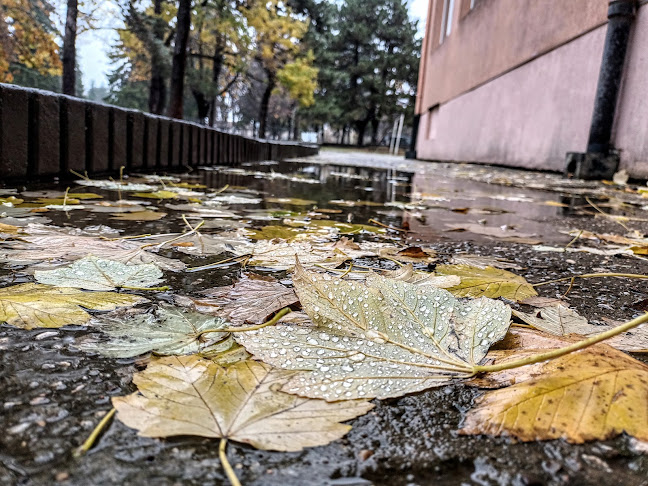 Основно училище „Васил Априлов“ - Училище