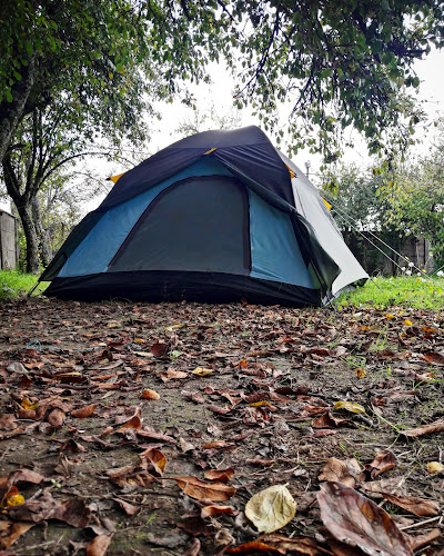 Camping el Amigo - Valdivia