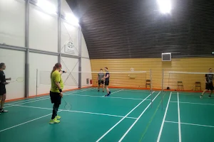 A M O K aréna, Badminton Paskov image