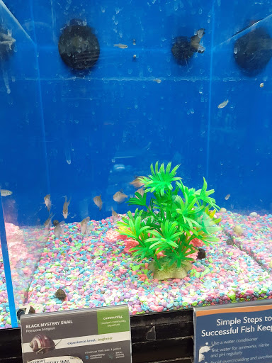 Pet Supply Store «PetSmart», reviews and photos, 1380 Fitzgerald Dr, Pinole, CA 94564, USA