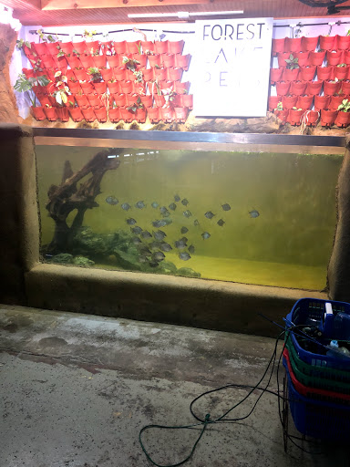 Pet Store «Forest Lake Pets», reviews and photos, 120 Lake St N, Forest Lake, MN 55025, USA