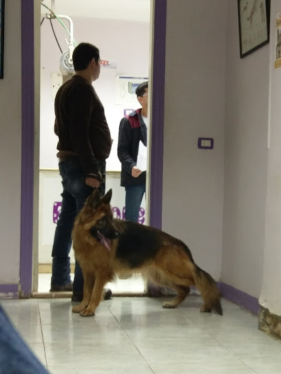 Pet Zone Veterinary Clinic Heliopolis