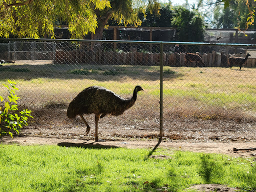 Wildlife World Zoo, Aquarium & Safari Park