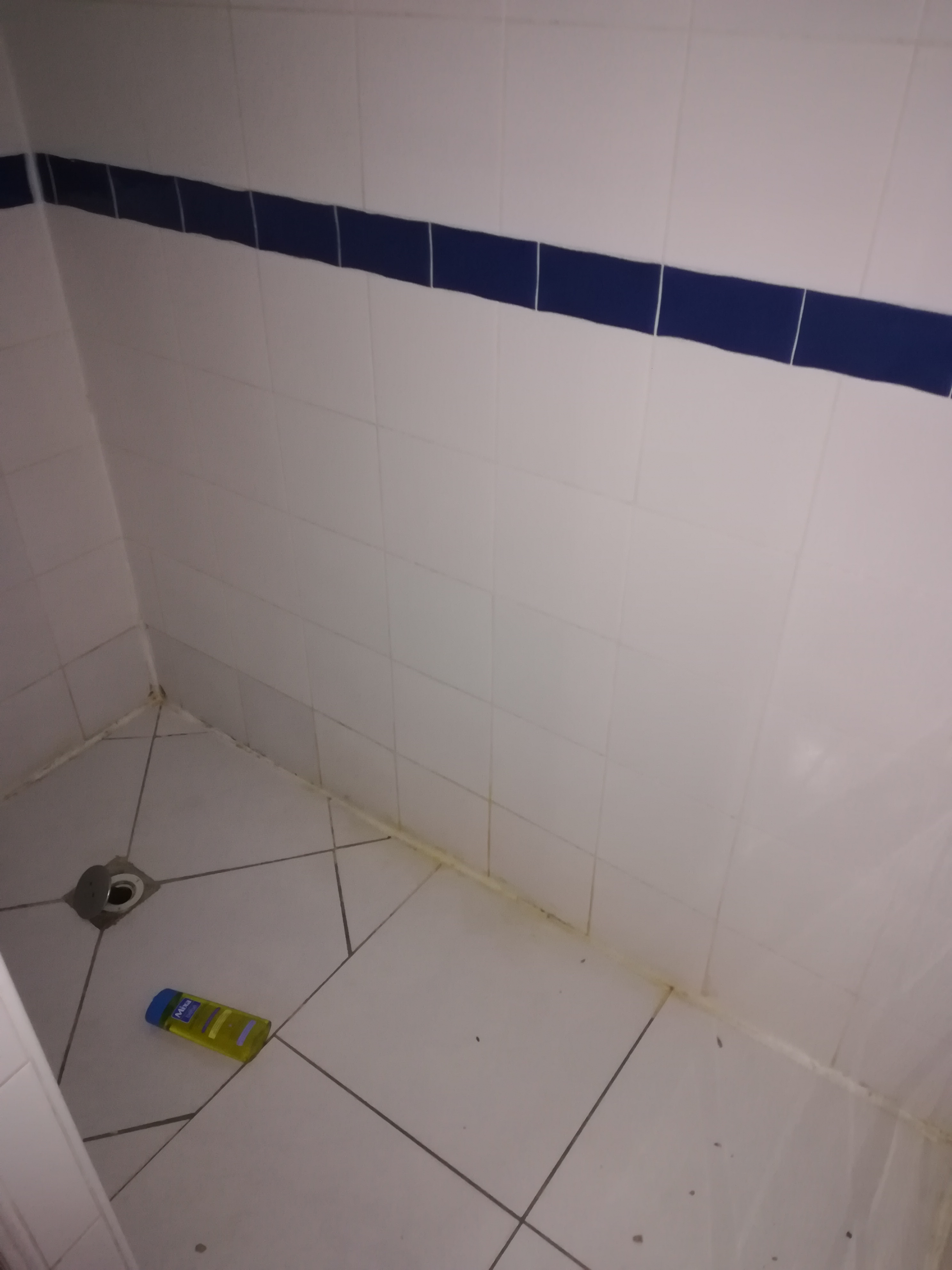 Photo n° 3 de l'avis de DOMINIQUE.E fait le 01/09/2019 à 09:21