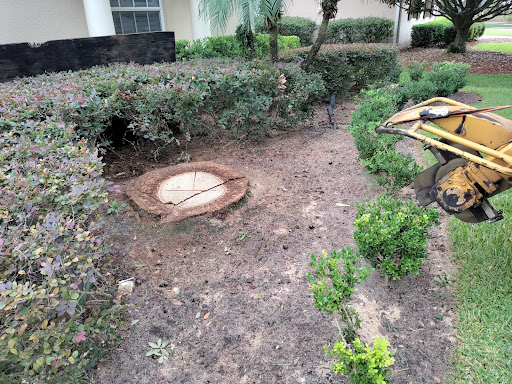 Golf Course «Golden Bear Club», reviews and photos, 6300 Jack Nicklaus Pkwy, Windermere, FL 34786, USA