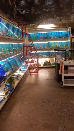 Pet Supply Store «PetSmart», reviews and photos, 525 Connecticut Ave, Norwalk, CT 06854, USA