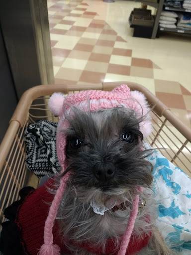 Pet Supply Store «Petco Animal Supplies», reviews and photos, 420 Harry L Dr #2, Johnson City, NY 13790, USA