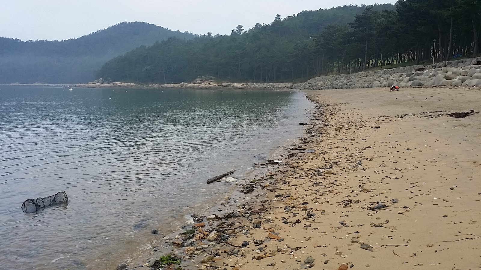 Yeonyeon Beach的照片 带有明亮的沙子和岩石表面