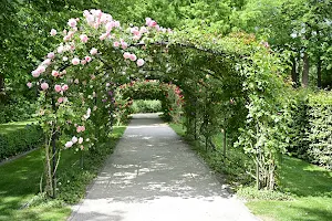 International Rose Garden Courtrai image