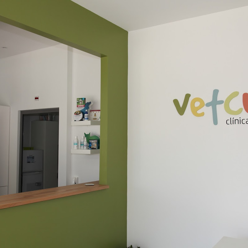 Vetcubo - Veterinary Clinic