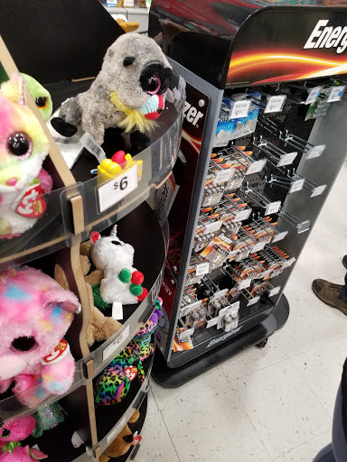 Craft Store «Michaels», reviews and photos, 4255 Pheasant Ridge Dr NE, Blaine, MN 55449, USA