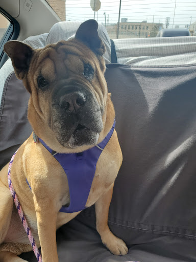 Jeweler «Helzberg Diamonds», reviews and photos, 154 West Market, Bloomington, MN 55425, USA