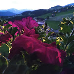 Photo n°1 de l'avis de Moule.i fait le 01/07/2021 à 07:55 sur le  Falkensteiner Hotel & Spa Sonnenparadies à Terenten