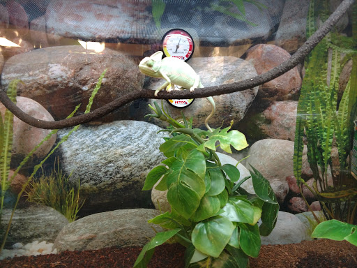 Pet Supply Store «Petco Animal Supplies», reviews and photos, 901 W Indiantown Rd #30, Jupiter, FL 33458, USA