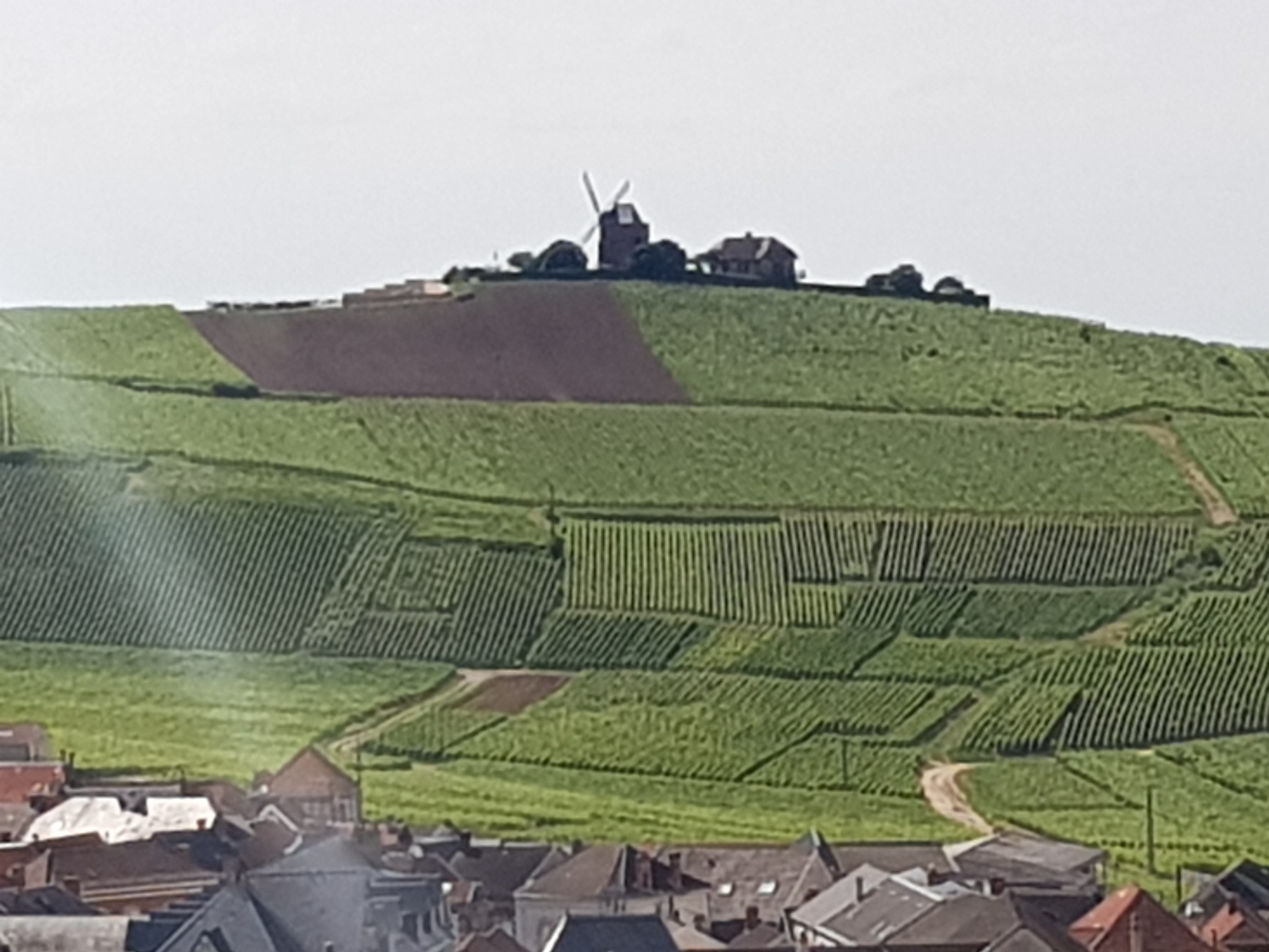 Photo n° 2 de l'avis de Maryline.o fait le 22/06/2019 à 21:53