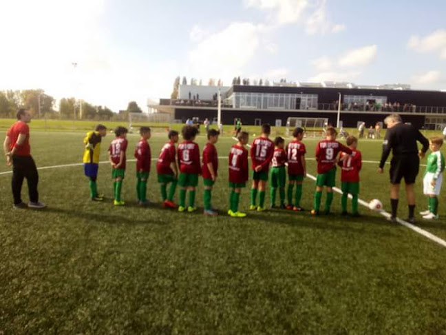 S.K. Berkenrode - Antwerpen