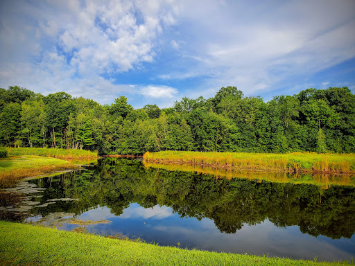 Golf Course «Blue Ridge Trail Golf Club», reviews and photos, 260 Country Club Dr, Mountain Top, PA 18707, USA