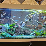 Photo n°4 de l'avis de Milan.� fait le 07/02/2024 à 18:10 sur le  B'HAVEN à Bremerhaven