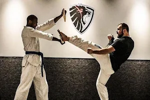 Defenders Martial Arts Academy image