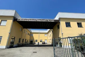 Istituto Veterinario di Novara image