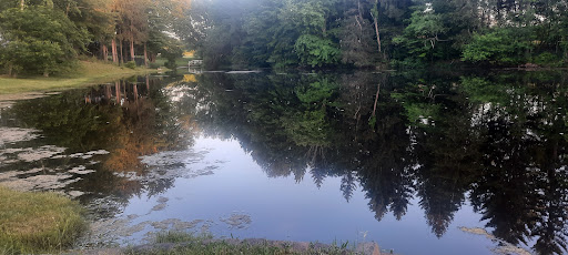 Sporting Goods Store «Causeway Sporting Goods», reviews and photos, 2233 Greenville Rd NE, Cortland, OH 44410, USA