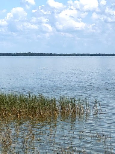 Coffee Store «Coffee Shop of Horrors», reviews and photos, 16937 Lakeside Dr, Montverde, FL 34756, USA