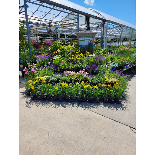 Garden Center «Stauffers of Kissel Hill Home & Garden Store», reviews and photos, 4450 Lincoln Hwy, York, PA 17406, USA