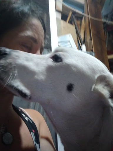 Pet Supply Store «Petco», reviews and photos, 149 Gravois Bluffs Plaza Dr, Fenton, MO 63026, USA