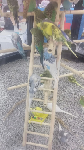 Pet Supply Store «Petco Animal Supplies», reviews and photos, 600 N Galleria Dr, Middletown, NY 10941, USA