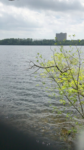 Golf Course «Fresh Pond Golf Course», reviews and photos, 691 Huron Ave, Cambridge, MA 02138, USA