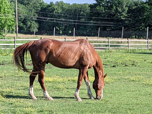 Farm «Giamarese Farm & Orchards», reviews and photos, 155 Fresh Ponds Rd, East Brunswick, NJ 08816, USA