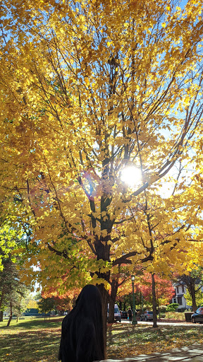 Park «Langford Park», reviews and photos, 30 Langford Park, St Paul, MN 55108, USA